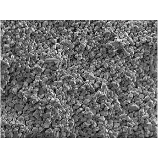Комплекс цифровой радиографии Экоскан 10 (расширенный комплект)
